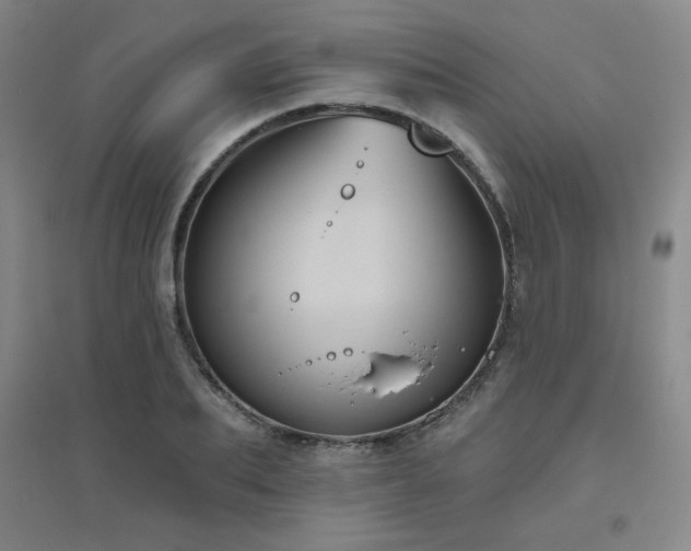 X0000094790887200711161431