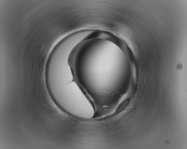 X0000094790888200711161431