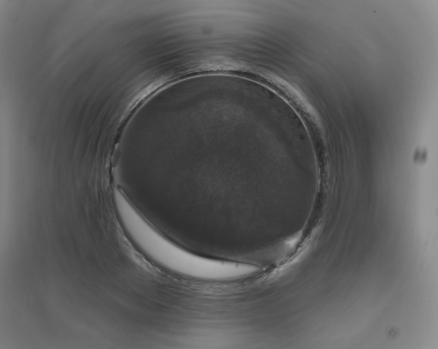 X0000094790889200711161431