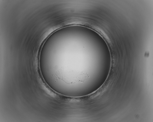 X0000094790890200711161431