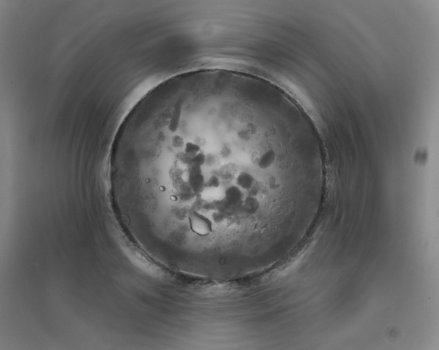 X0000094790891200711161431