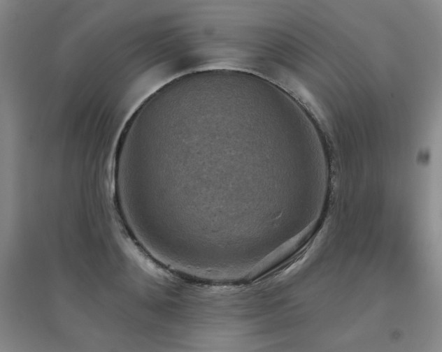 X0000094790892200711161431