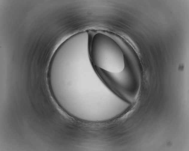 X0000094790893200711161431