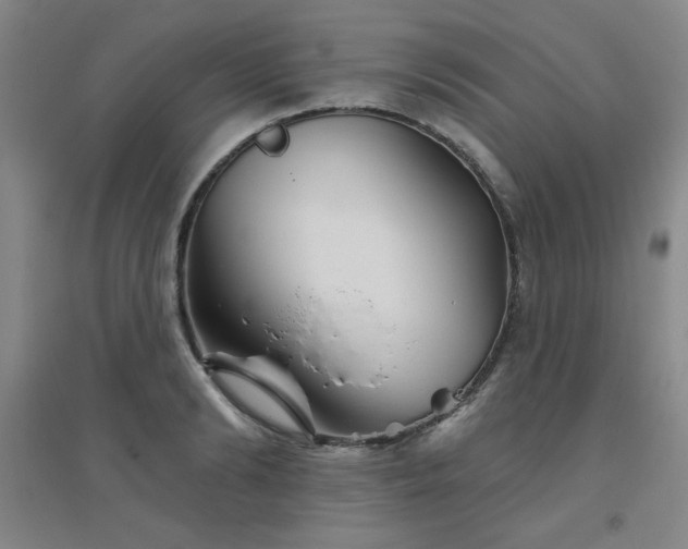 X0000094790894200711161431