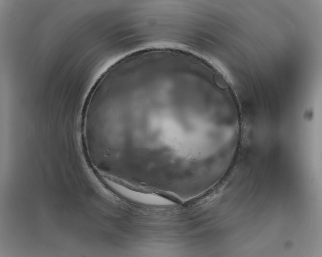 X0000094790895200711161431