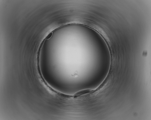 X0000094790898200711161431