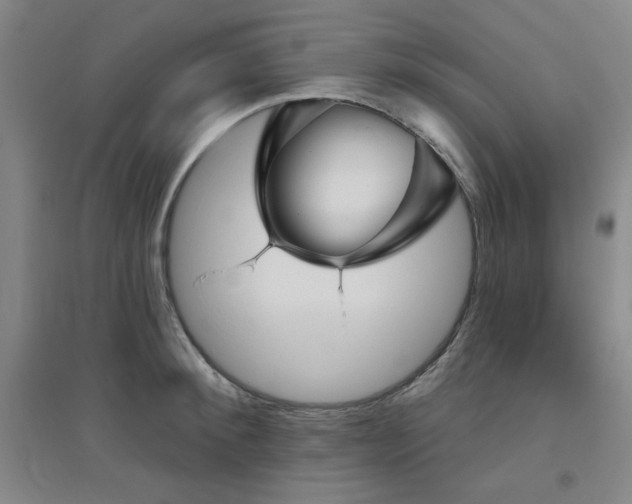 X0000094790900200711161430