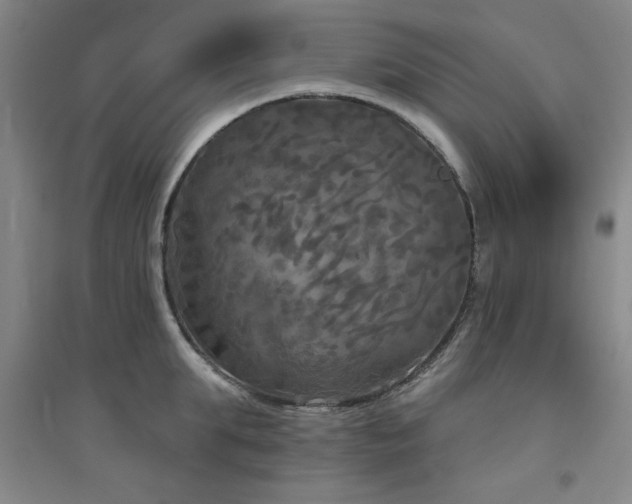 X0000094790903200711161430