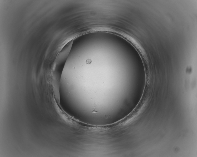 X0000094790905200711161430