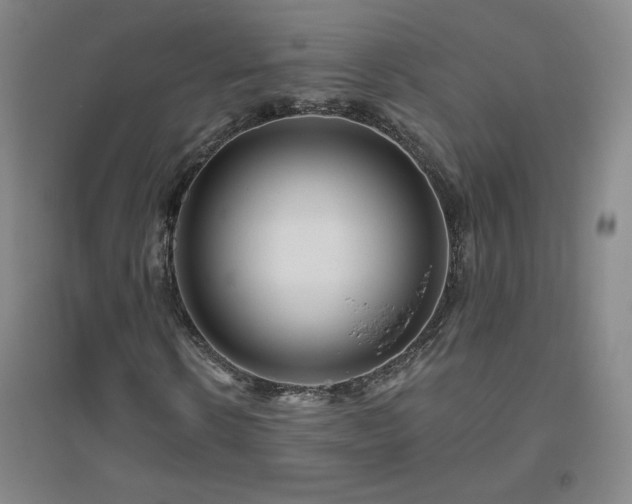 X0000094790914200711161430