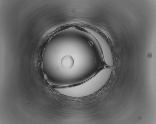 X0000094790920200711161430