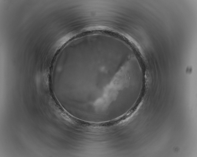 X0000094790921200711161430