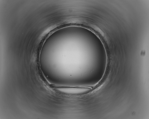 X0000094790922200711161430