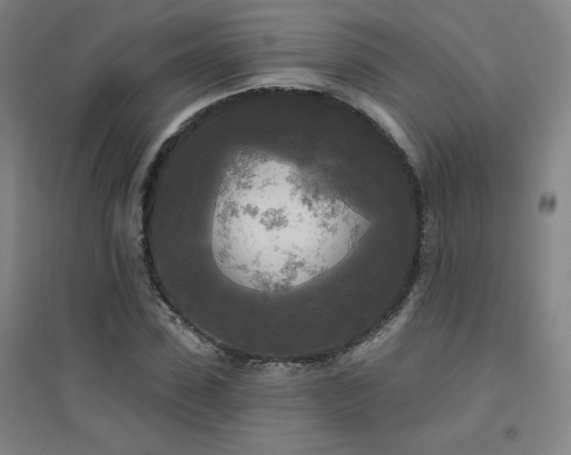 X0000094790923200711161430