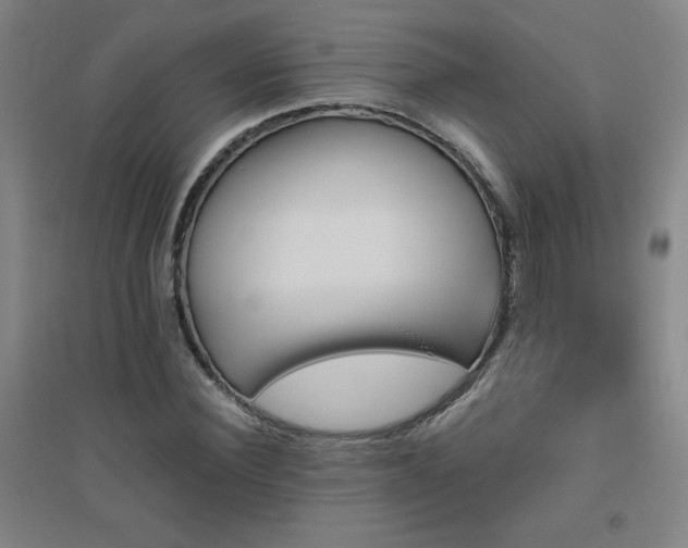 X0000094790924200711161430