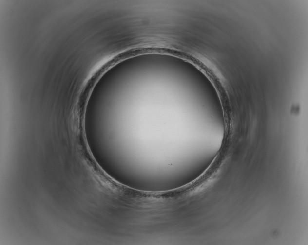 X0000094790925200711161430