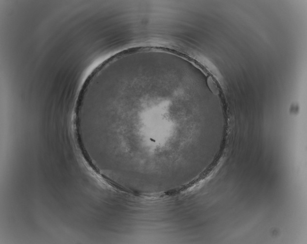 X0000094790928200711161430