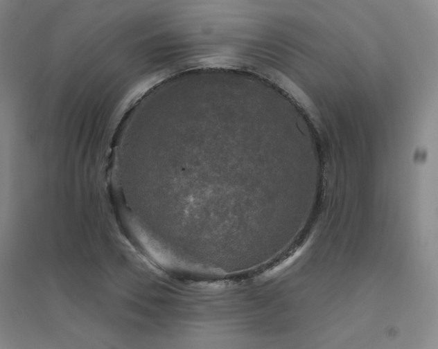 X0000094790930200711161430
