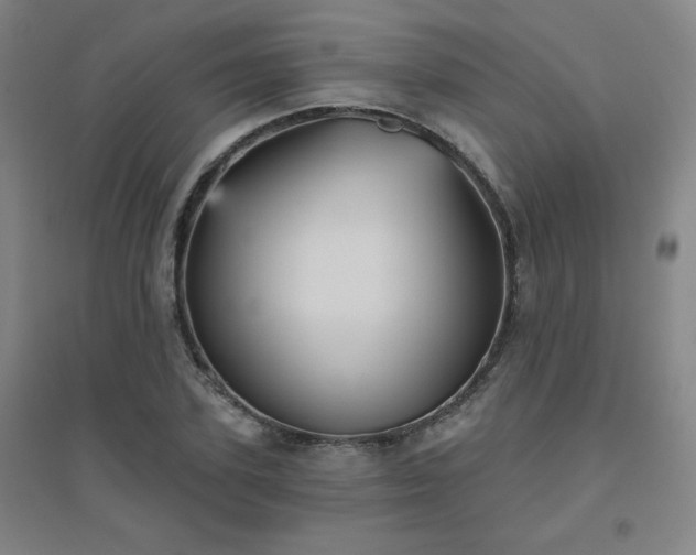 X0000094790931200711161430