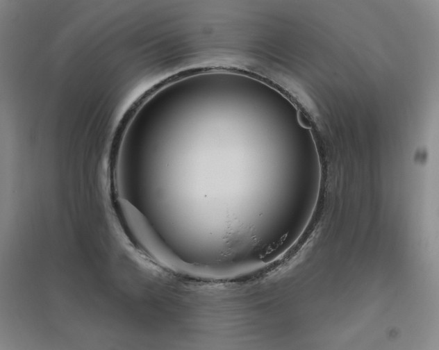 X0000094790936200711161430