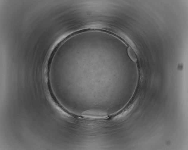 X0000094790939200711161430