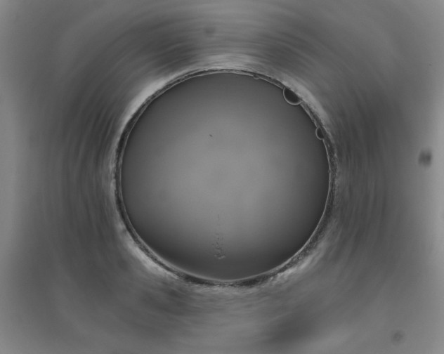 X0000094790941200711161430