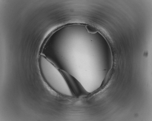 X0000094790942200711161430