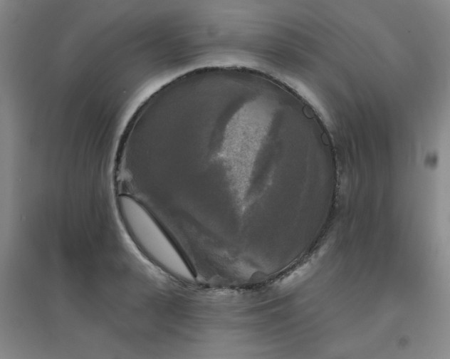 X0000094790943200711161430