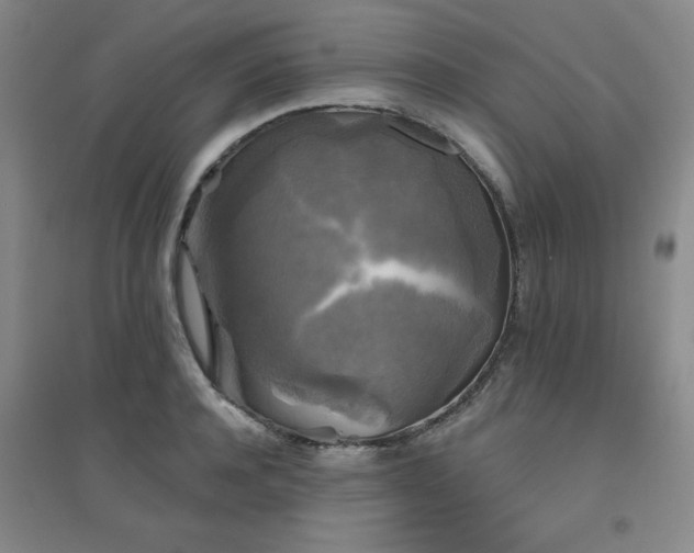 X0000094790944200711161430