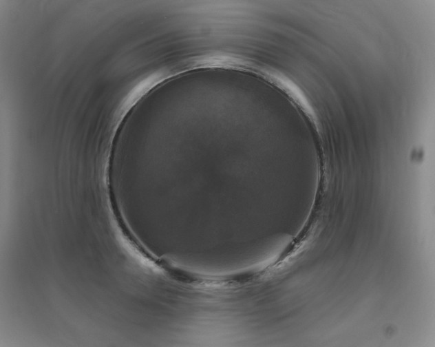 X0000094790946200711161430