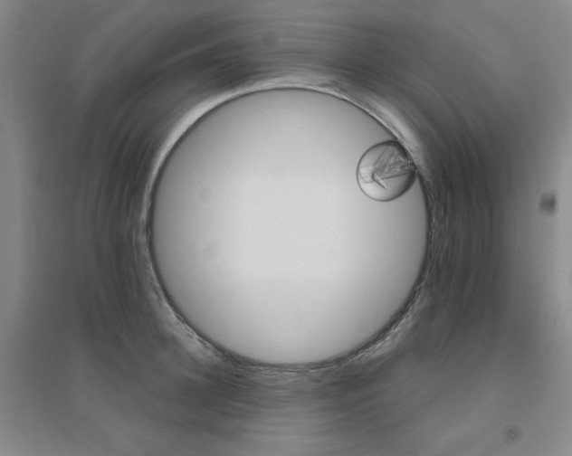 X0000094790948200711161430