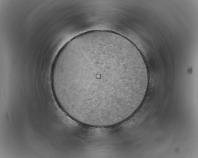 X0000094790950200711161430