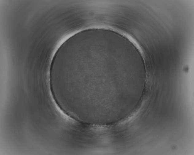 X0000094790951200711161430