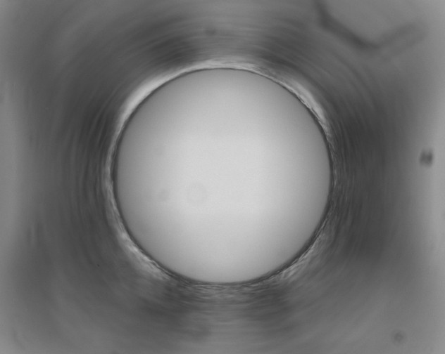 X0000094790952200711161430