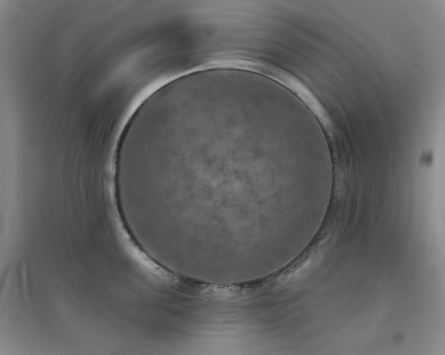 X0000094790955200711161430