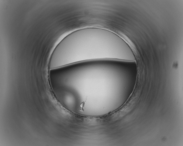 X0000094790956200711161430