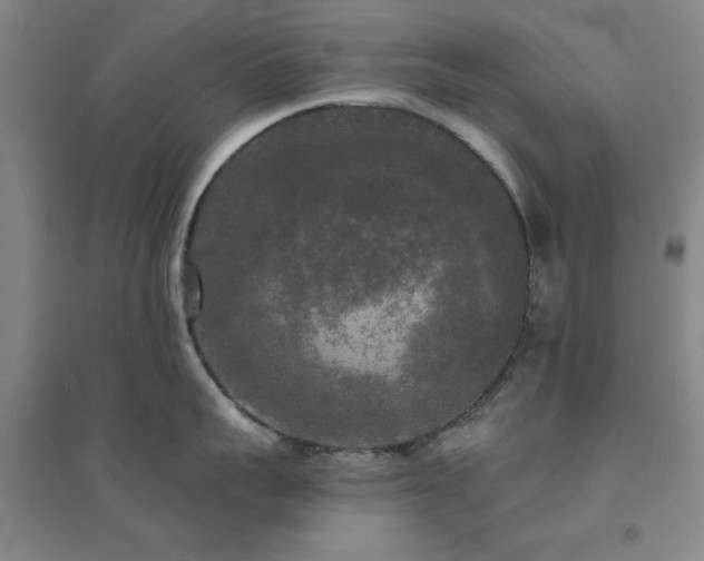 X0000094790959200711161430
