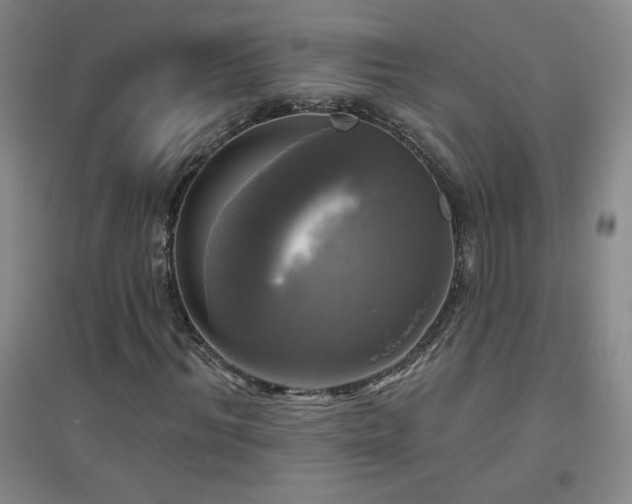 X0000094790964200711161430