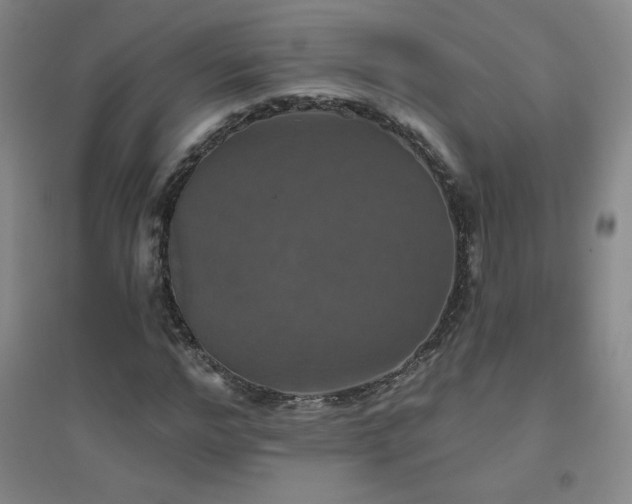 X0000094790968200711161430