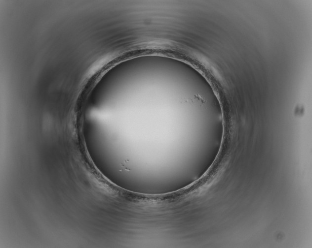 X0000094790970200711161430