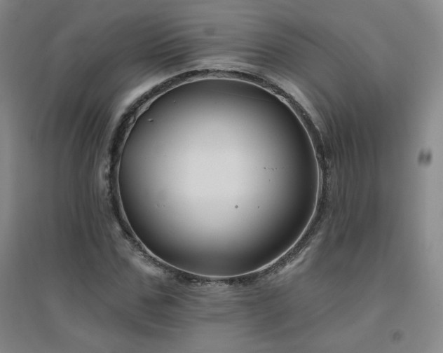 X0000094790971200711161430
