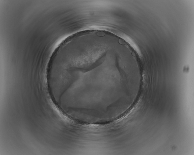 X0000094790972200711161429