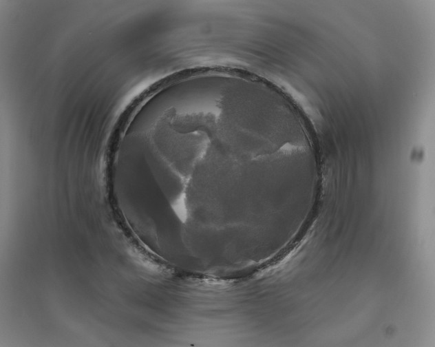X0000094790975200711161429