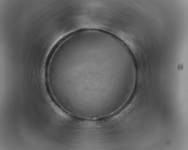 X0000094790976200711161429