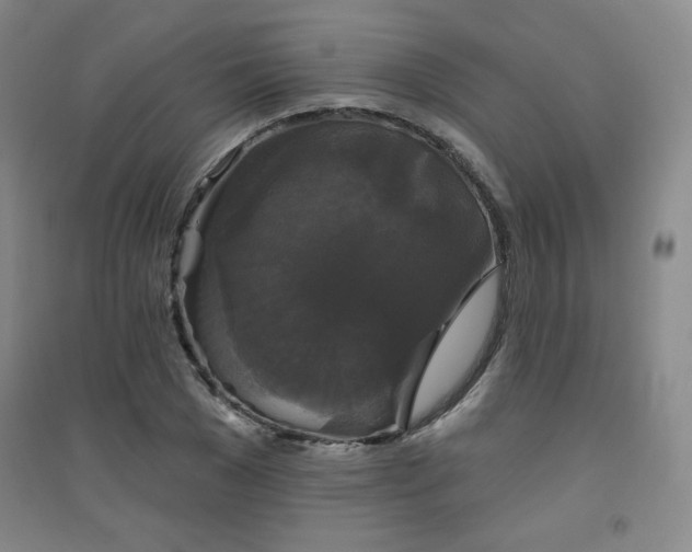 X0000094790977200711161429