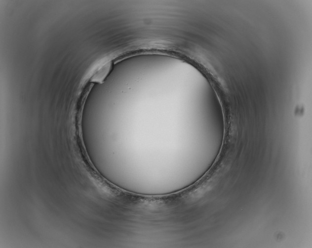 X0000094790978200711161429