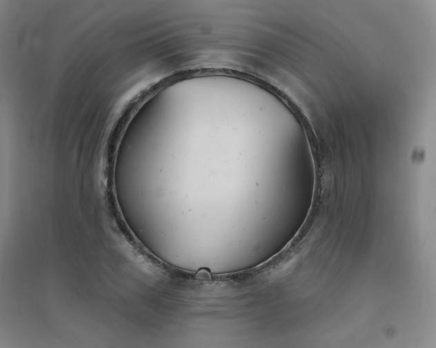 X0000094790979200711161429
