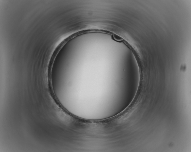 X0000094790980200711161429