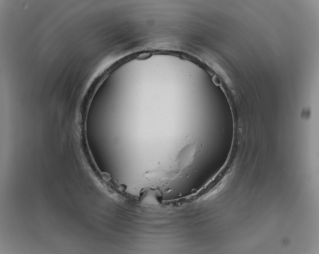 X0000094790981200711161429