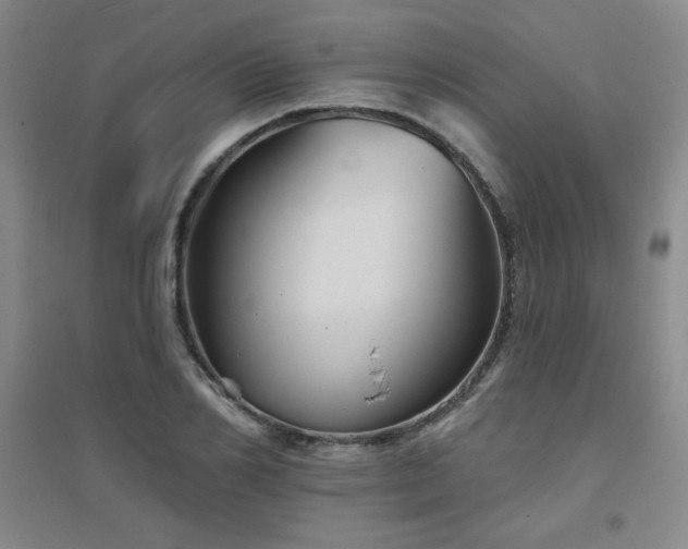X0000094790982200711161429